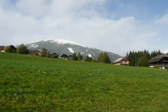 Oktober_2011_Annegret_Bertels-573