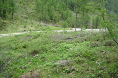 Saisoneroeffnung-2011-132