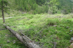Saisoneroeffnung-2011-133