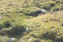 CIMG0101