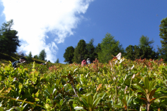 september_2014-25