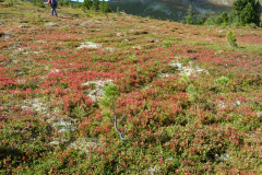 september_2014-38