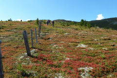 september_2014-39
