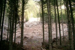 September2003_0071